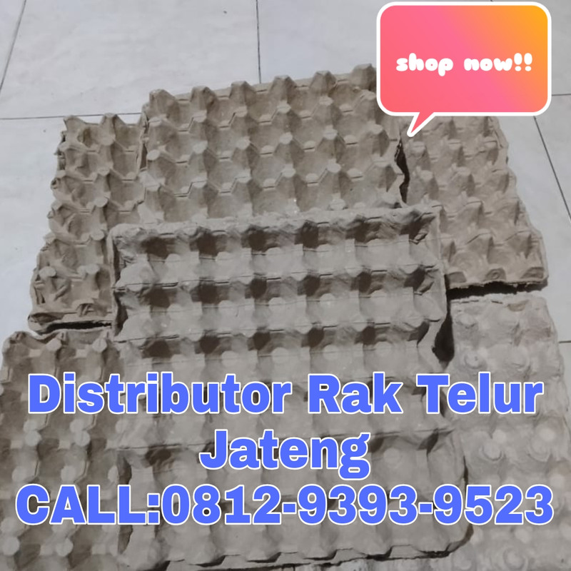 TERBAIK, CALL: 0812-9393-9523, Harga Rak Telur Kertas Nduga
