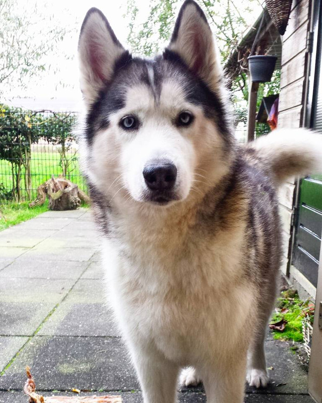 573388931 26196532336603129 1960970992913703784 n