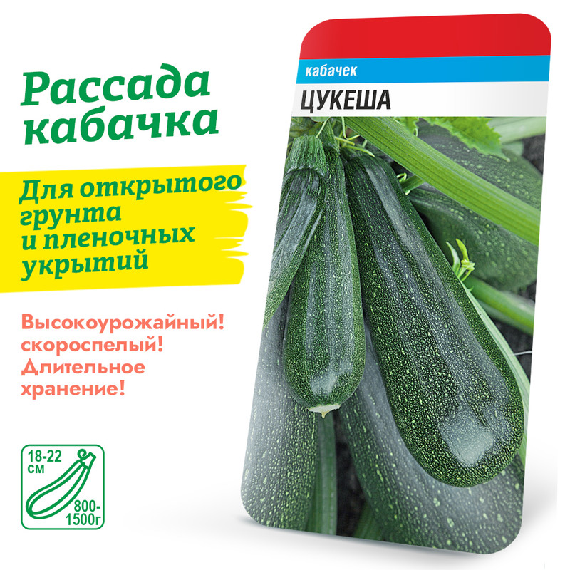 Кабачок Цукеша