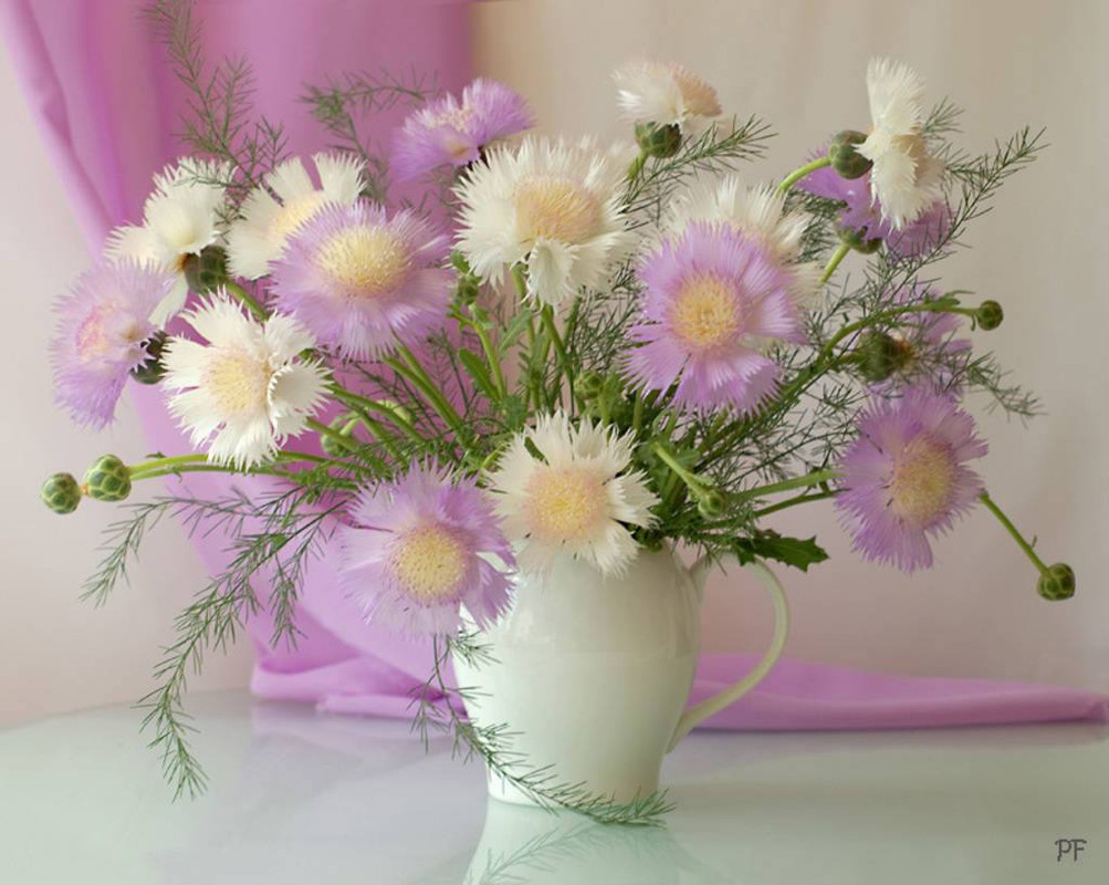 kytice fialovo bílá...