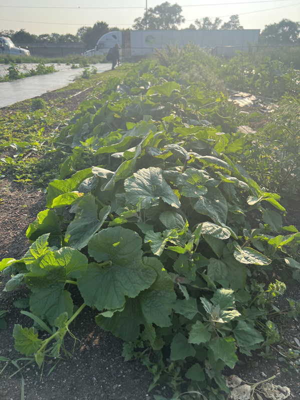 Otter Oaks Farm