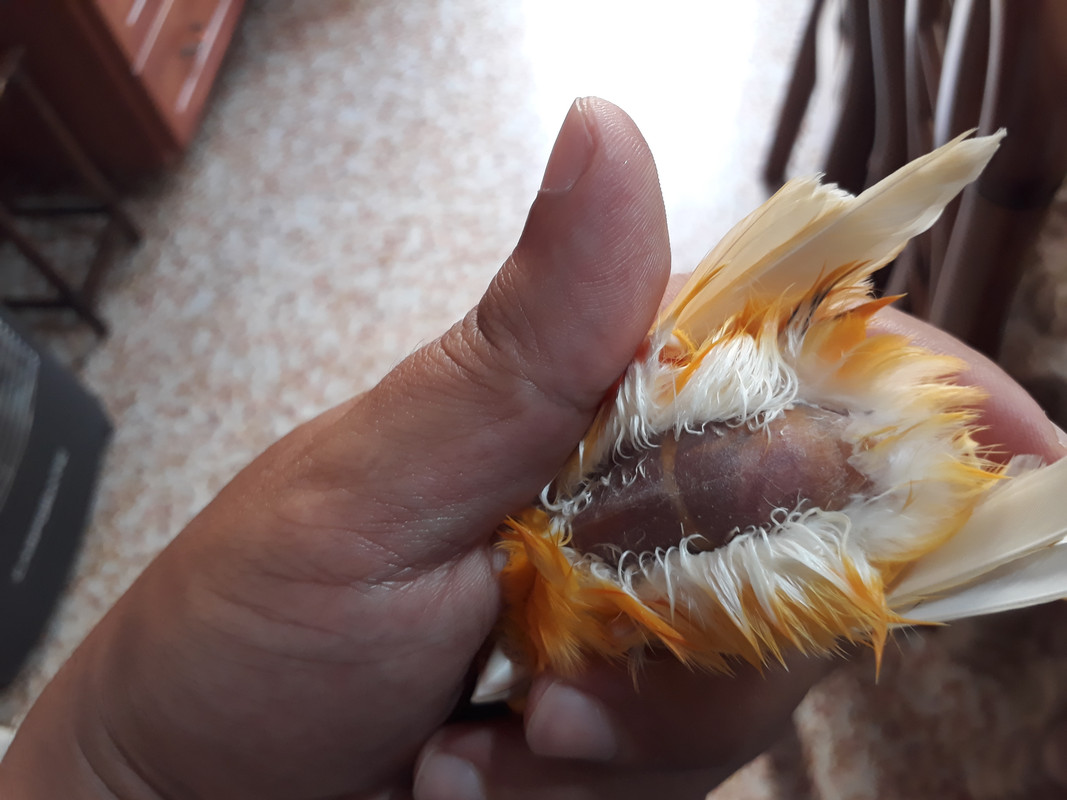 20180823_105713