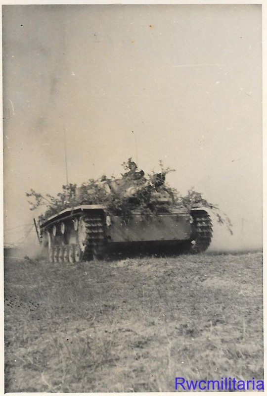 German Sturmgeschütz Panzer Camouflaged
