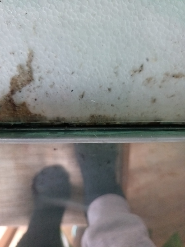 17390320768847912898003958449537