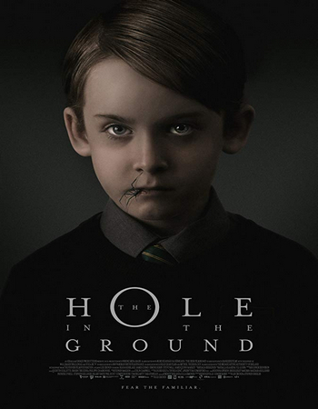 Download The Hole in the Ground (2019) 720p WEB-DL 750MB