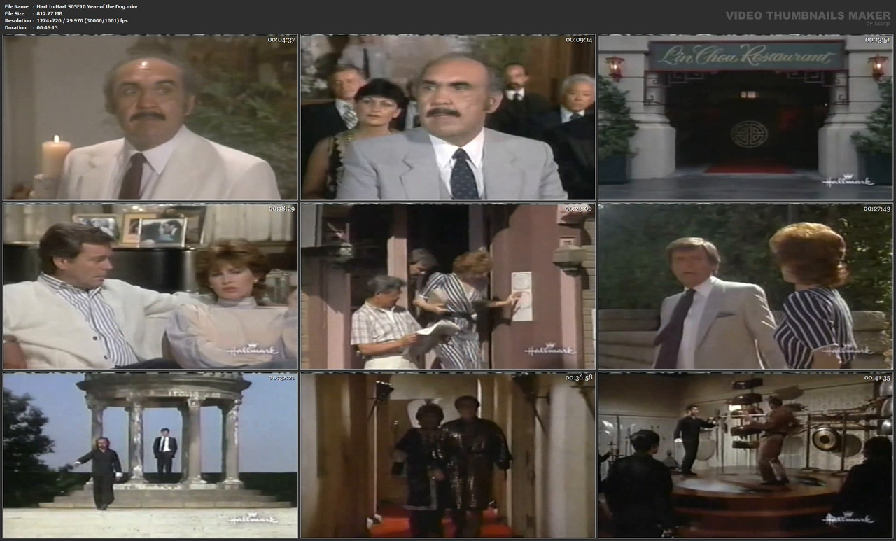 Hart to Hart S05E10 Year of the Dog.mkv