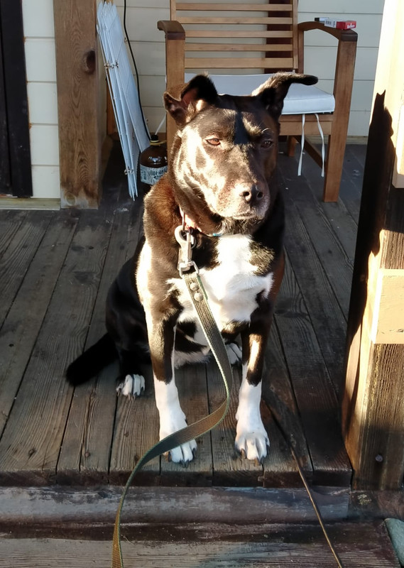 340D5D0E-CDC9-4F80-A13D-F4DEDF02E455