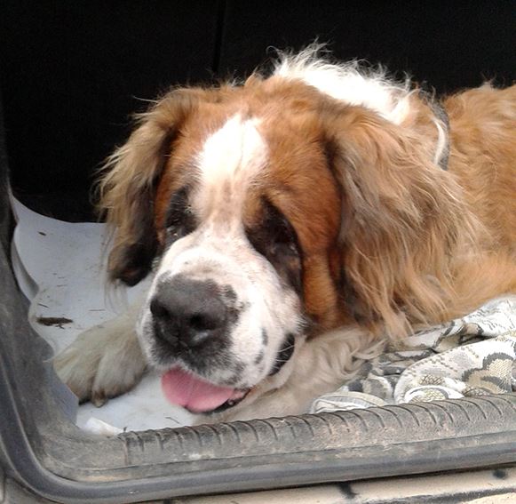 1 - копия - копия - копия