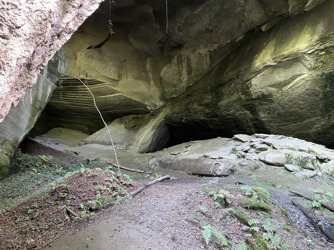 977F34CC-0145-4C81-BBFA-2D3A9C0E98DA