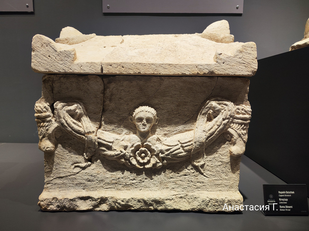 IMG 20251029 170728 1