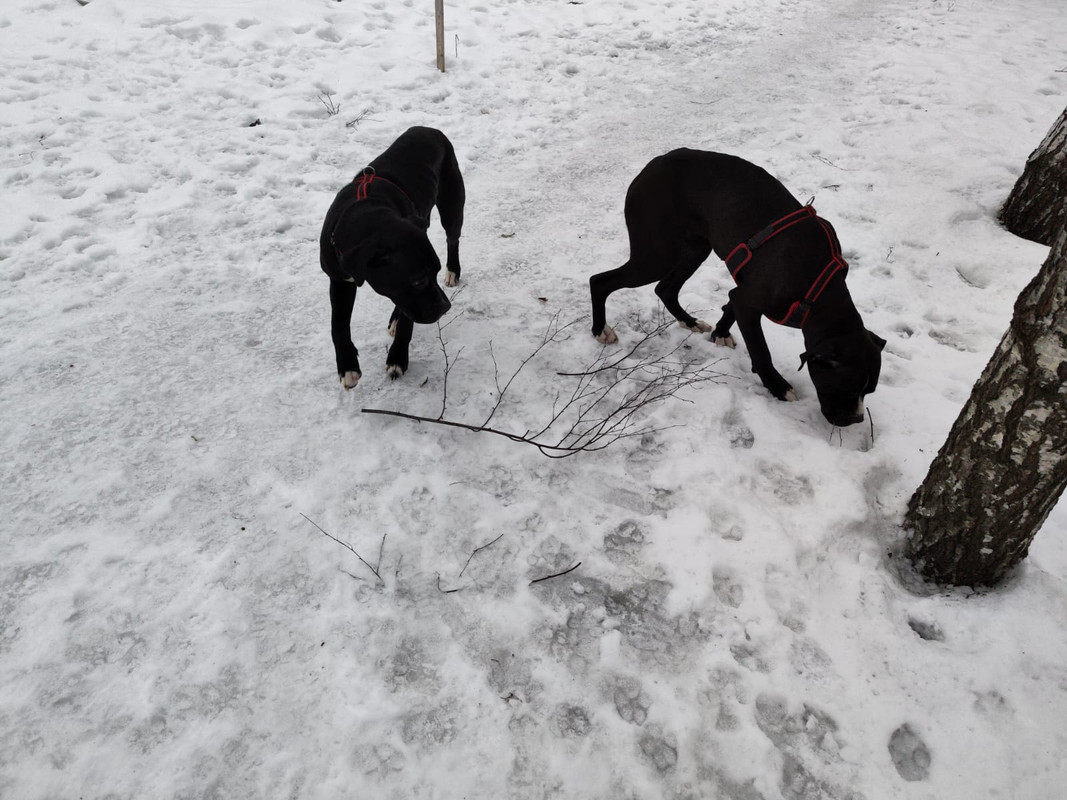 2747F920-29DC-4599-8A3A-1D8D88F134F6