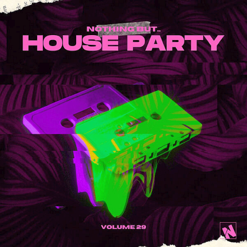 Nothing But... House Party Vol. 29 (2025)