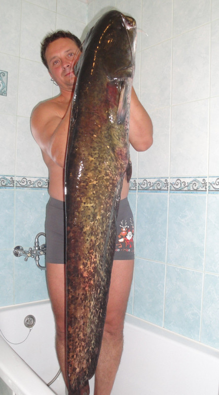 DSC03548 - копия (2)