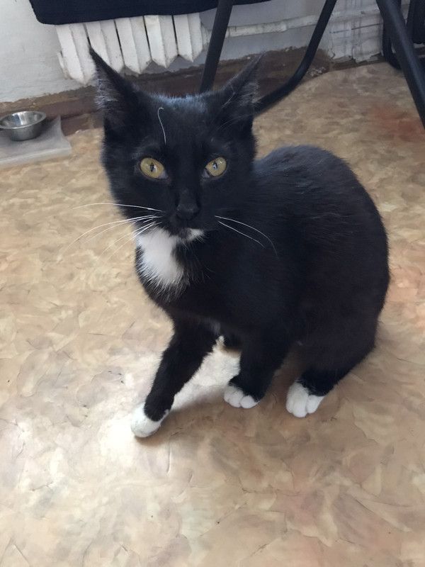 67B9D13B-2EE4-4A9E-BD25-EE714C612914