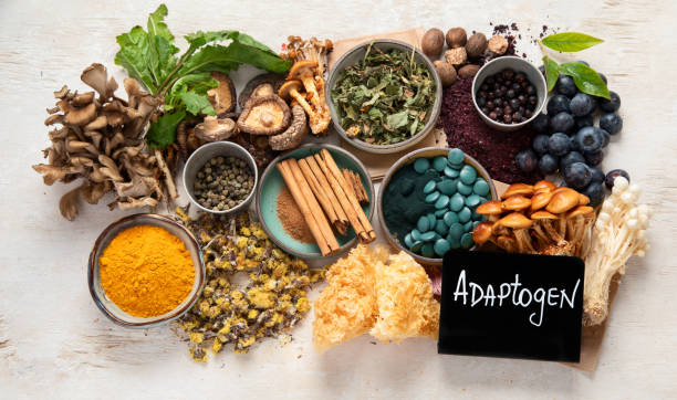 organic plant extracts