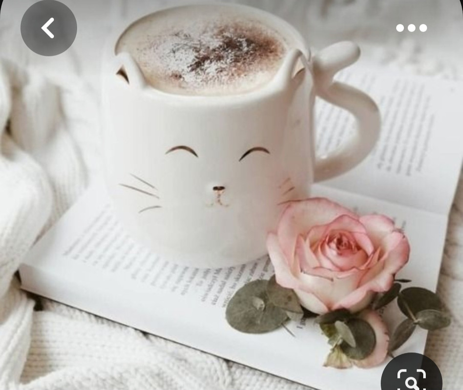 Screenshot_20230420_011653_Pinterest