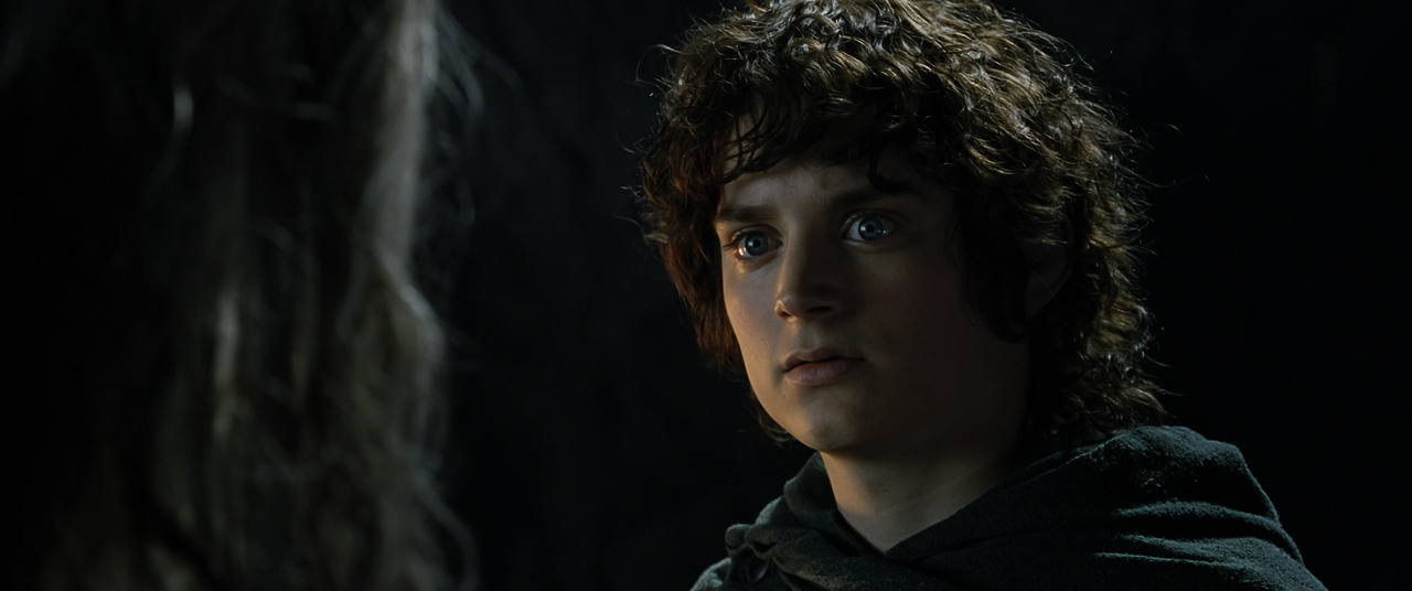 The Lord of the Rings The Fellowship of the Ring (2001) EXTENDED (1080p Bluray AV1 Opus) [NeoNyx343]