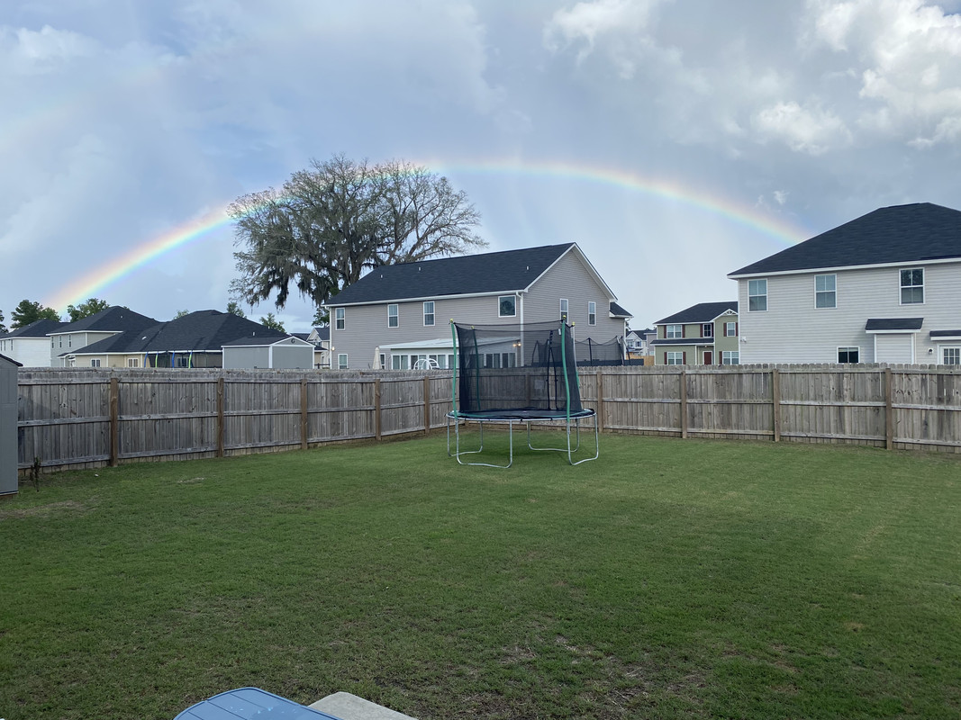 D42DFACE-9D0E-4D65-9527-2E024656D883