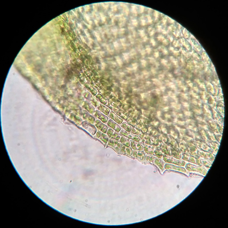 IMG 20250615 221226 HDR