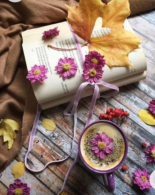 Screenshot_20221227_013145_Chrome