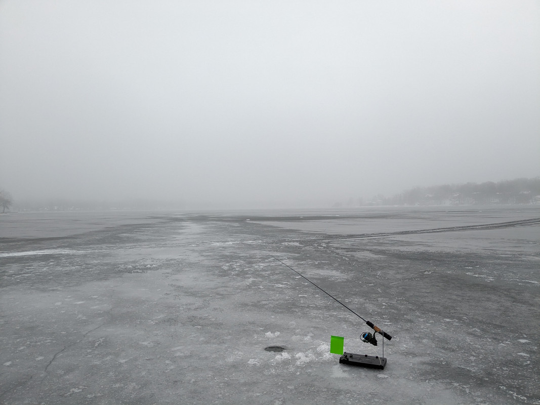 PXL_20240124_135657337