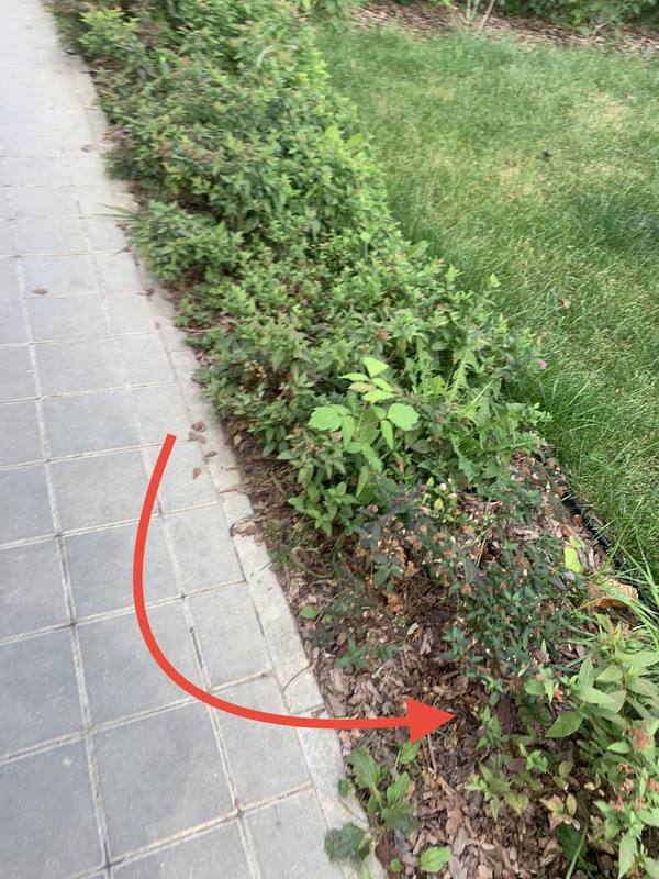 8F8502B7-3214-46E2-BB20-C18452B9F67E