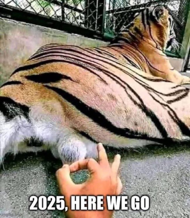 [Image: flicking-tiger-testes-2025-650x745.jpg]