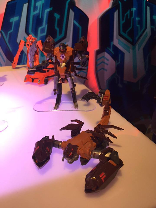 12705299_215985515418550_2611229603113914053_n