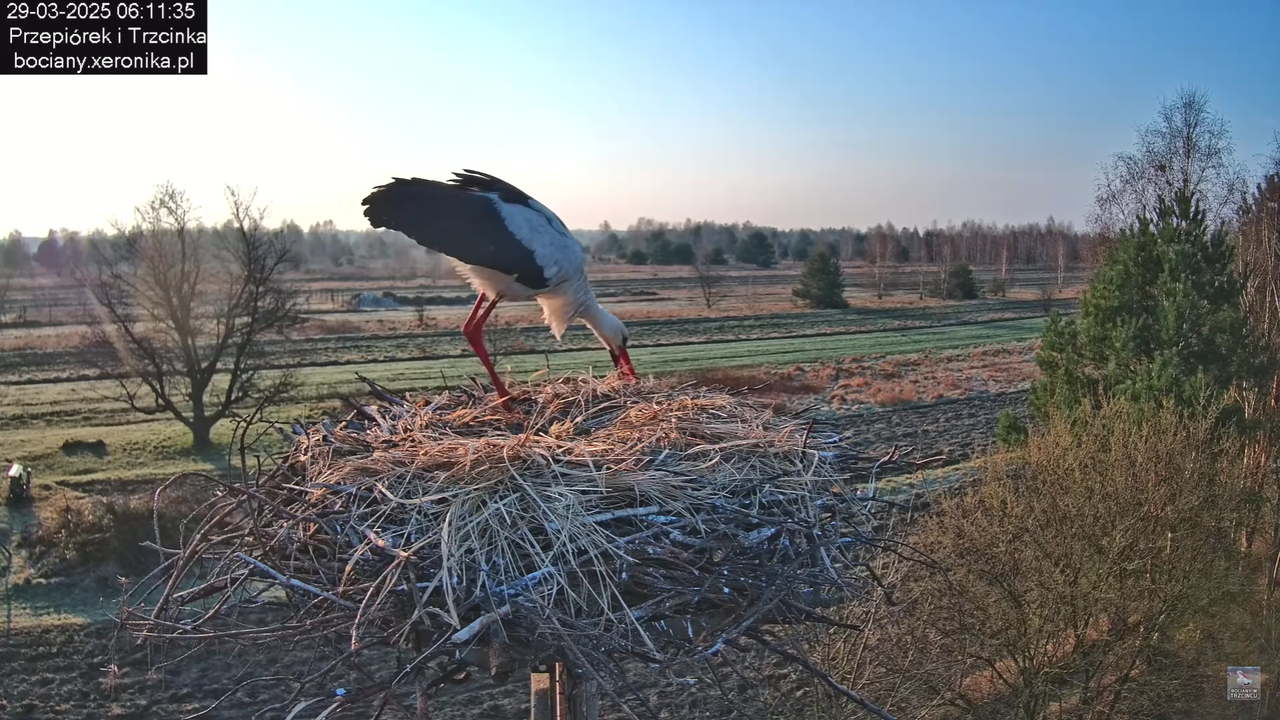 29032025porannezamieszanie_10