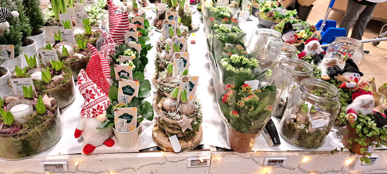 [Image: 20231205-161309.jpg]