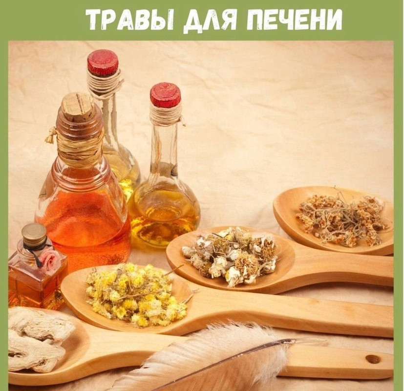 [Изображение: photo-2025-02-13-06-49-07.jpg]