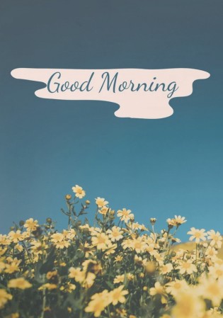 vartotojo kelta nuotrauka