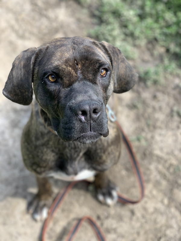 6C426637-0772-4272-8AEB-669DB963AD72