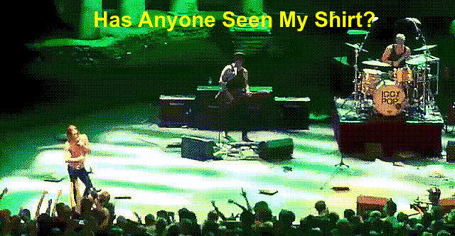 iggy-shirt.gif