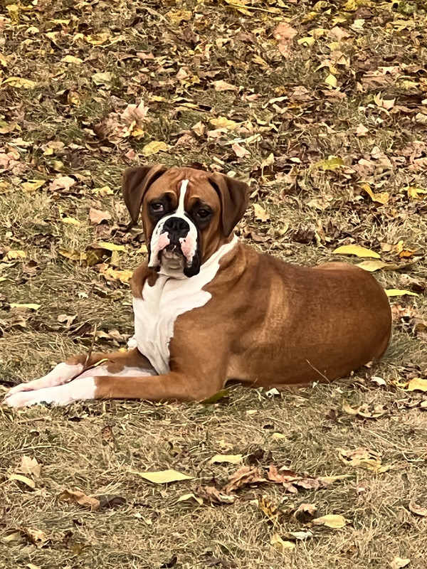 E835EFCF-7D26-44FC-A5CA-FA9A74ABA89F