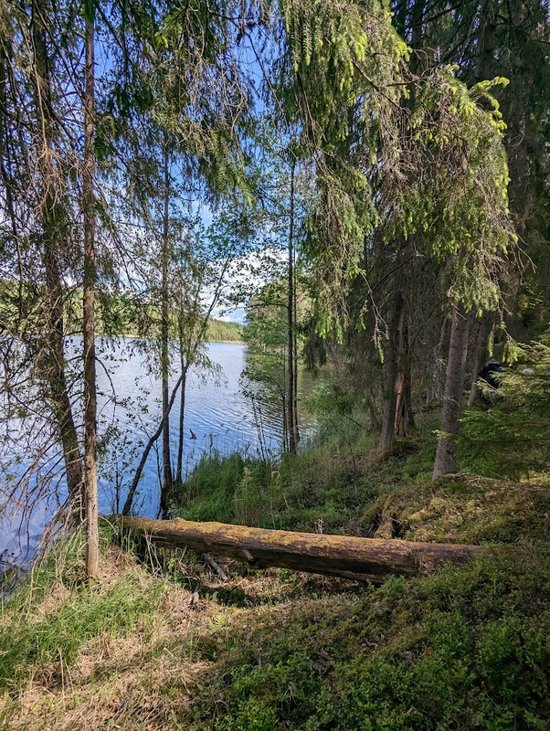 PXL_20230603_100200526