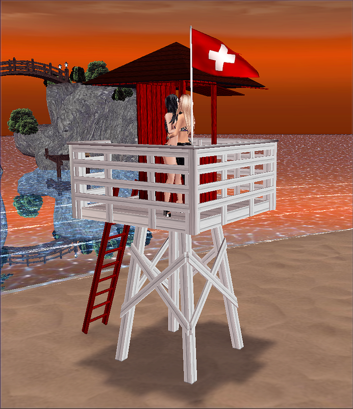 1-AD1-Lifeguard