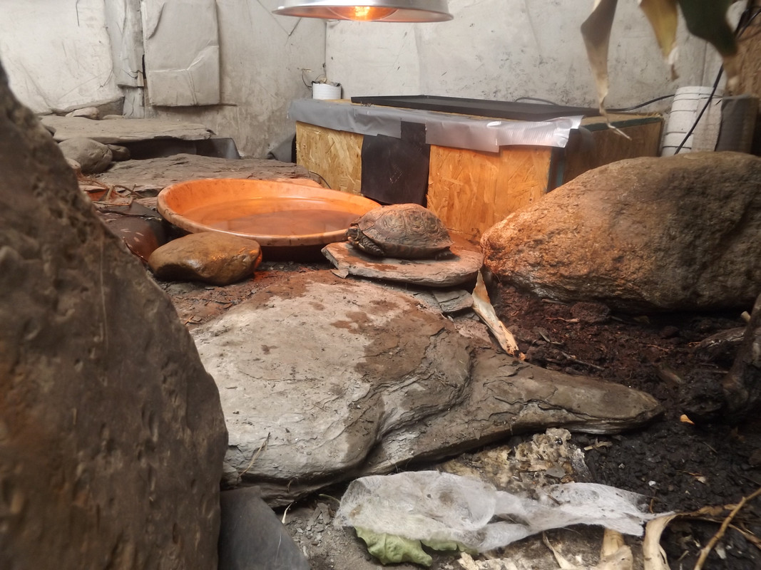 DSCF6790.jpg