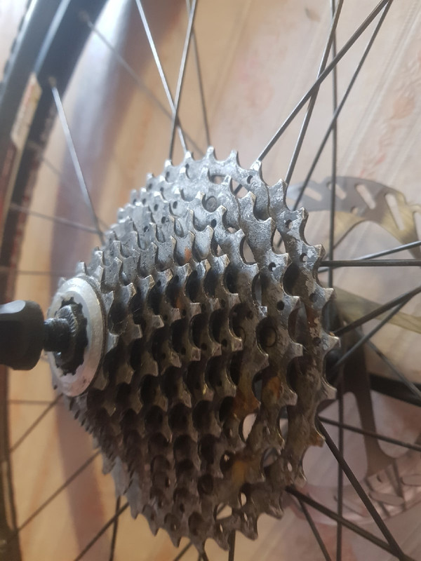 колесо заднее 6