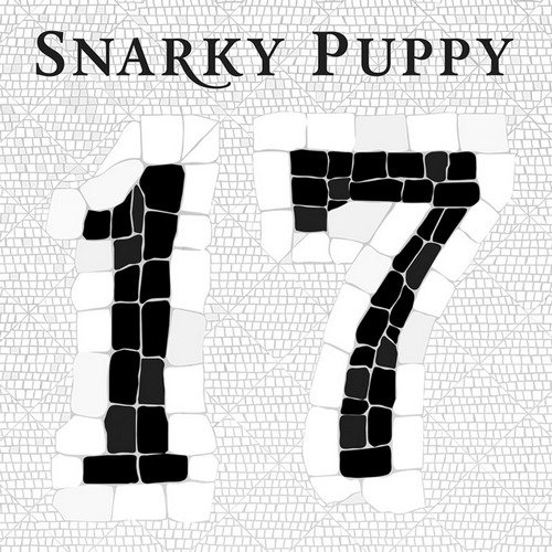 Snarky Puppy - 17 [Limited Edition] (2019) [Fusion, Jazz-Funk]; mp3, 320  kbps - jazznblues.club