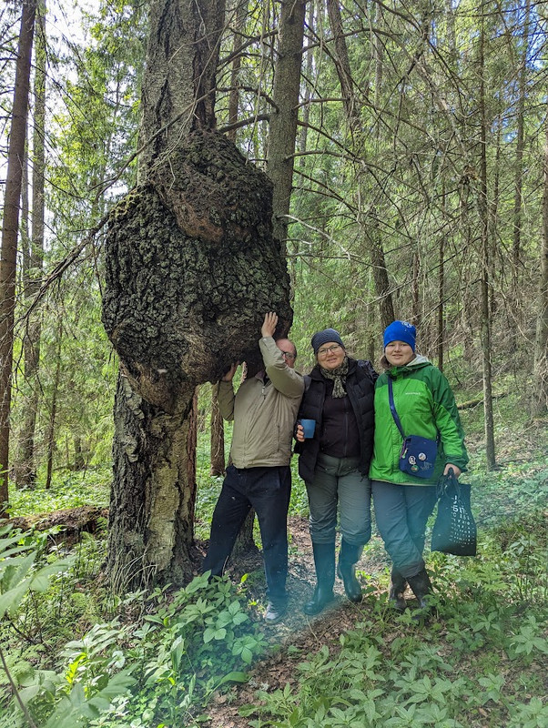 PXL_20230603_115847736