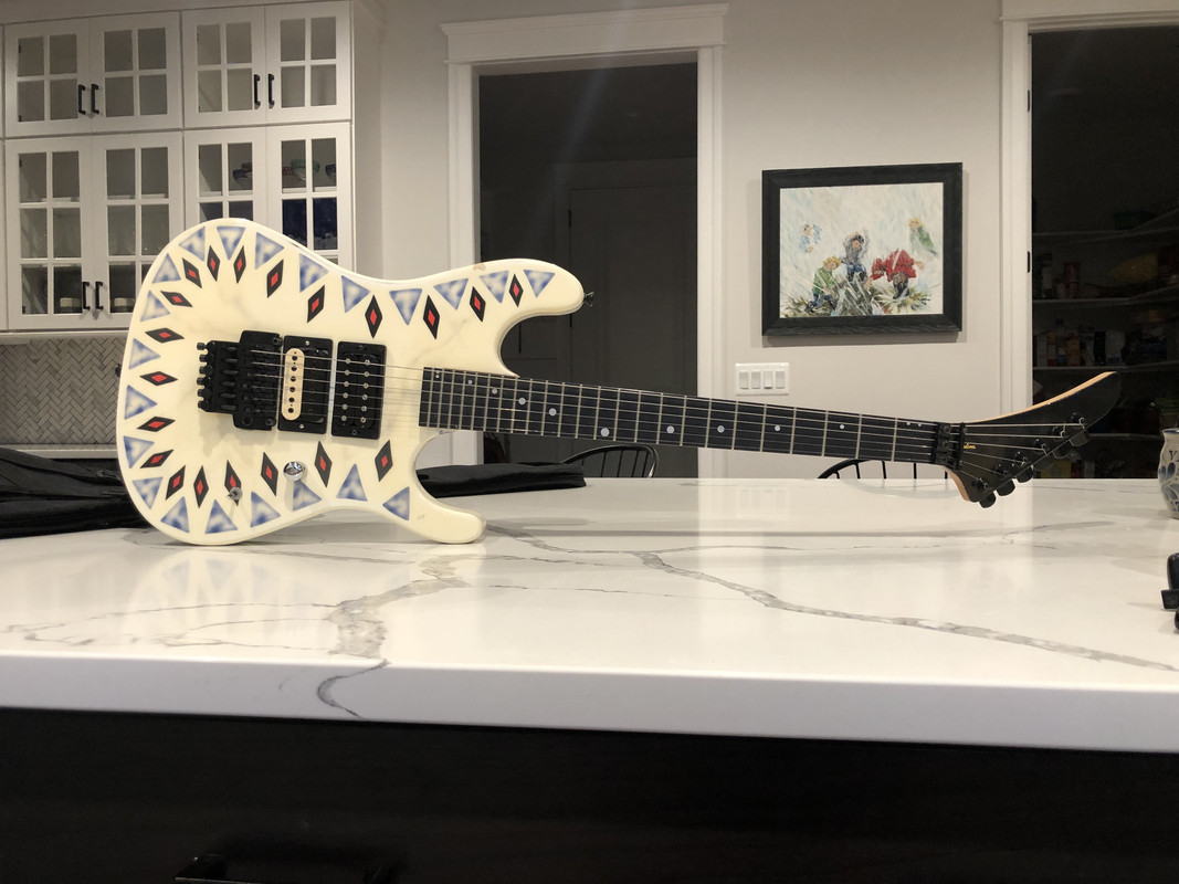 Kramer guys? NightSwan basket case | SevenString.org