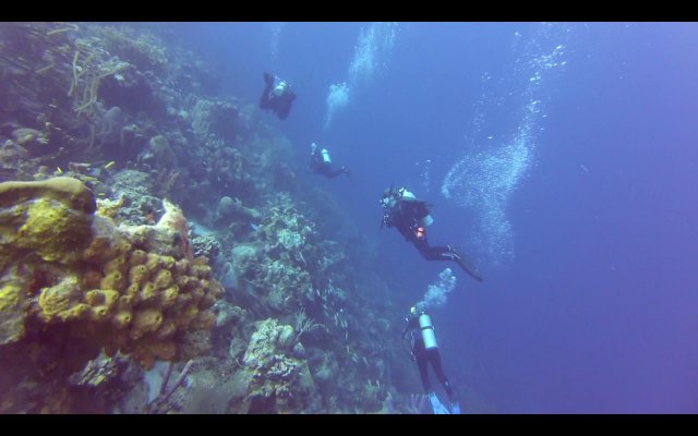 BONAIRE - Buceo+ Snorkel + Relax - Blogs de Caribe - Buceo en Calabas y The Lake. Snorkel. (3)