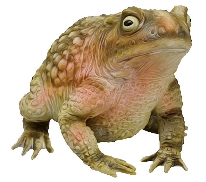 e67