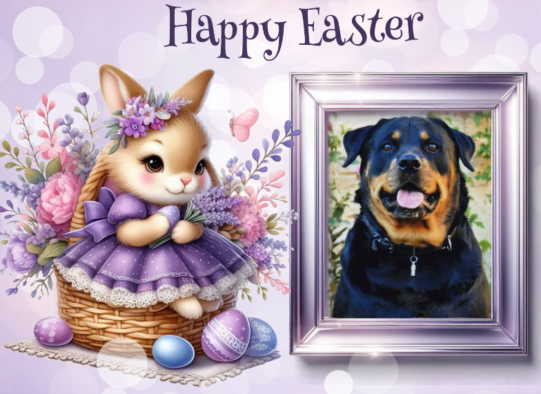 ( a 1 a Pâques Sally 16