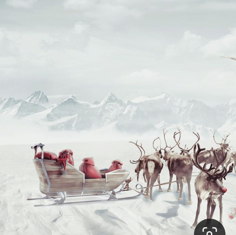 Screenshot_20231125_231929_Pinterest