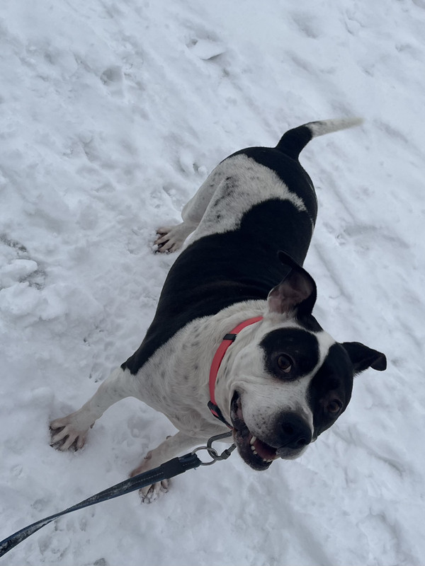 70638CA2-7D16-4E6F-A81F-46E6FB5CD027