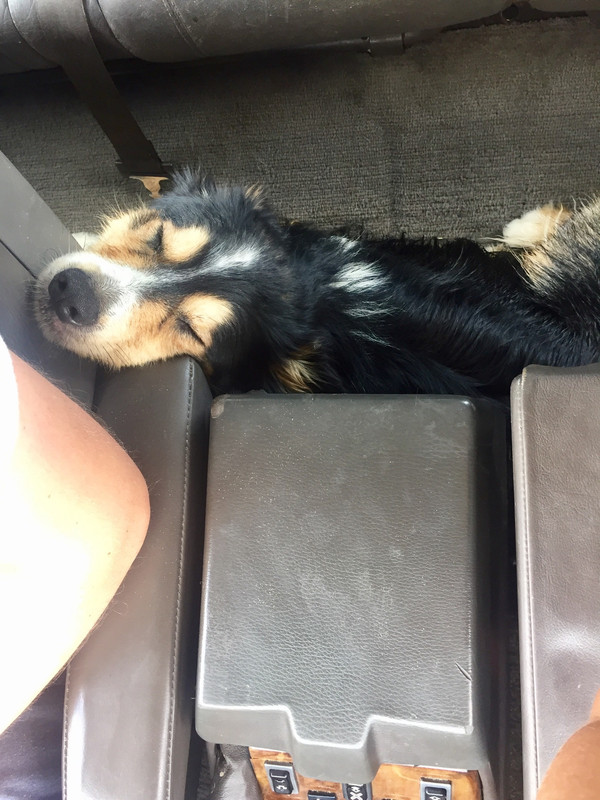 4B9B0FCC-618A-415A-9EC6-E6BE3417A566