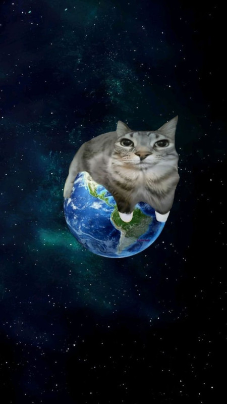 photo 2026 02 11 16 51 35