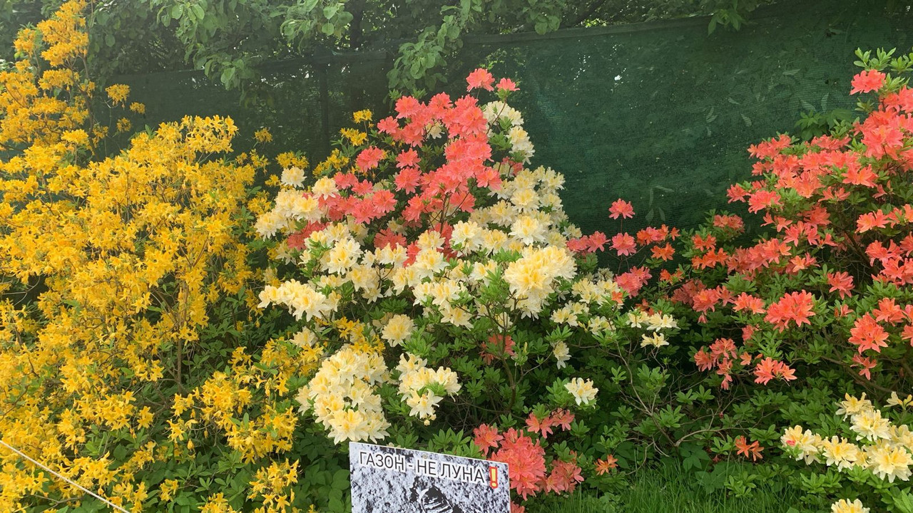 WhatsApp Image 2025-05-26 at 12.09.29